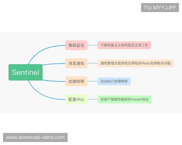 深入了解天空体育比分预测的核心原理与实战应用提升竞猜水平